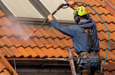 Démoussage et hydrofuge de toiture à Plénise